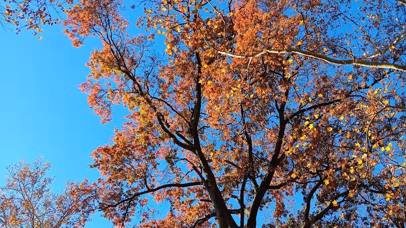 Kellogg Park - Elizabeth, NJ