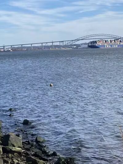 Marciante-Jackson-Millet Park - Elizabeth, NJ