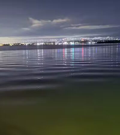 Marciante-Jackson-Millet Park - Elizabeth, NJ