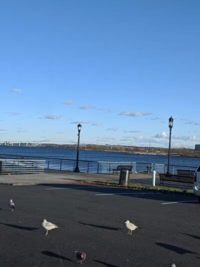 Marciante-Jackson-Millet Park - Elizabeth, NJ