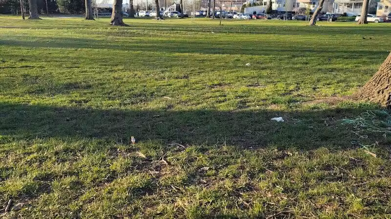 O'Brien Field - Elizabeth, NJ