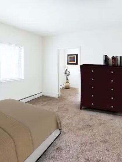 Turtle Village - Elizabeth, NJ