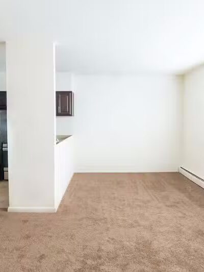 Turtle Village - Elizabeth, NJ