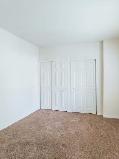 Turtle Village - Elizabeth, NJ