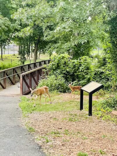 Phil Rizzuto Park - Elizabeth, NJ