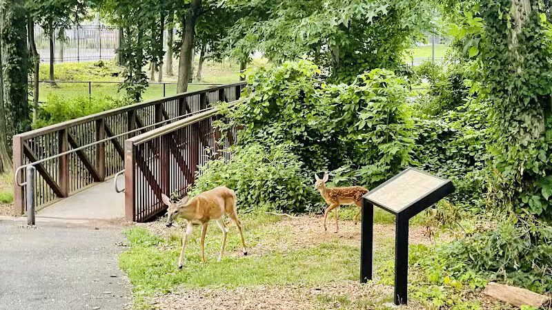 Phil Rizzuto Park - Elizabeth, NJ