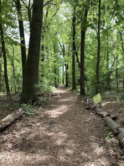 Phil Rizzuto Park - Elizabeth, NJ