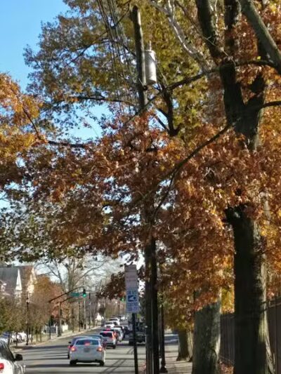 Phil Rizzuto Park - Elizabeth, NJ