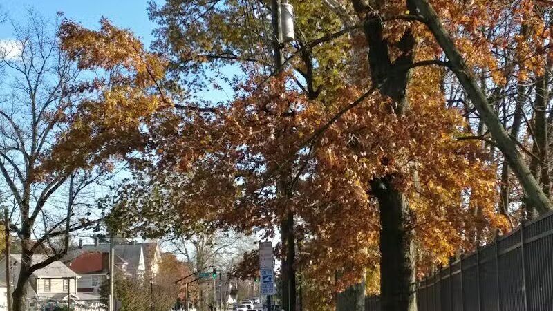 Phil Rizzuto Park - Elizabeth, NJ