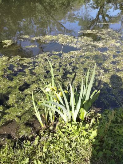 Phil Rizzuto Park - Elizabeth, NJ