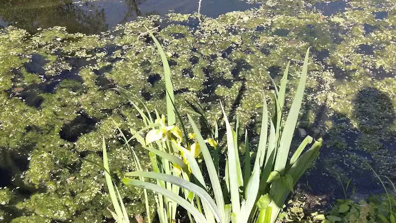 Phil Rizzuto Park - Elizabeth, NJ