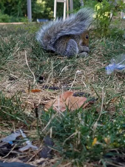 Phil Rizzuto Park - Elizabeth, NJ