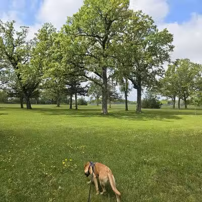 Otsego Dog Park - Elk River, MN
