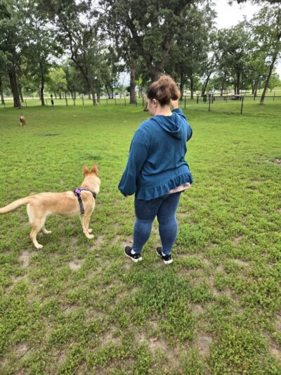 Otsego Dog Park - Elk River, MN