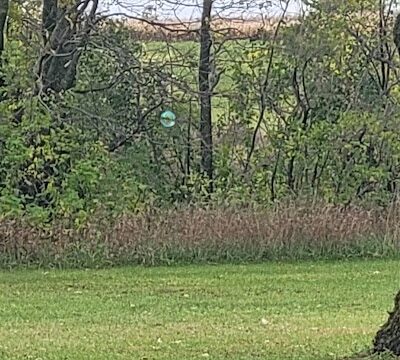 Otsego Dog Park - Elk River, MN