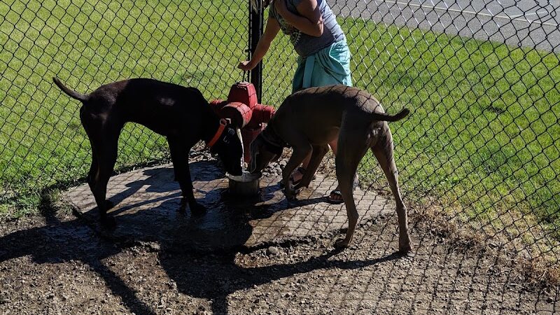 Otsego Dog Park - Elk River, MN