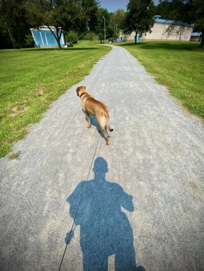 Friends of Elkin Dog Park - Elkin, NC
