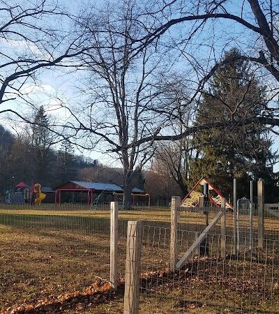 Elmers Dog Park - Ellicottville, NY