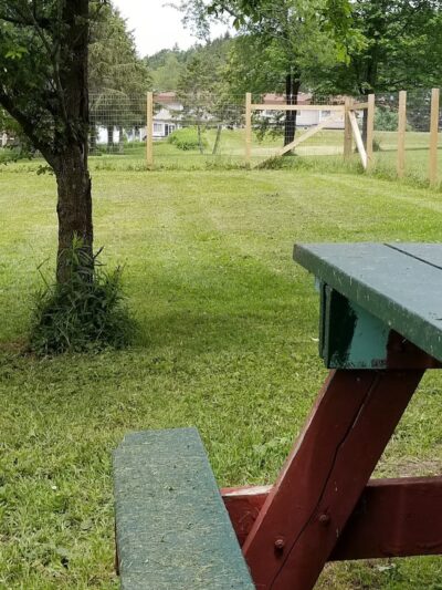 Elmers Dog Park - Ellicottville, NY