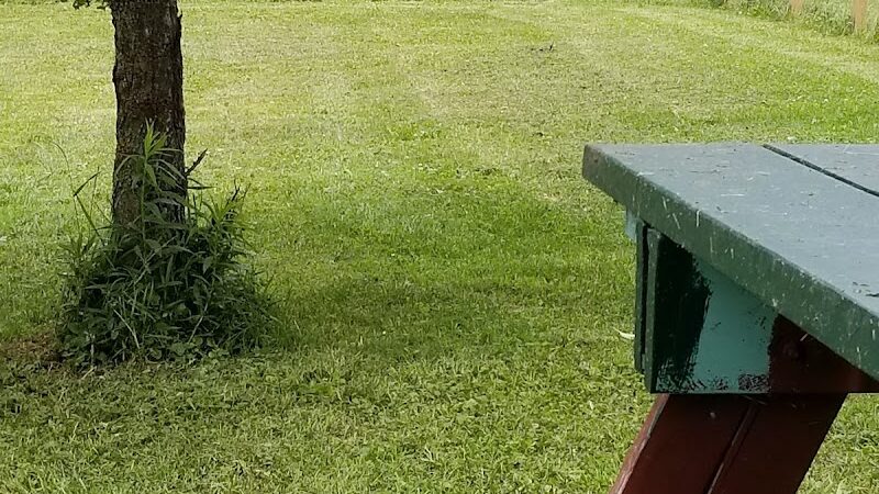 Elmers Dog Park - Ellicottville, NY