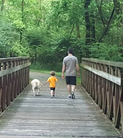 Bluebird Dog Park - Ellisville, MO