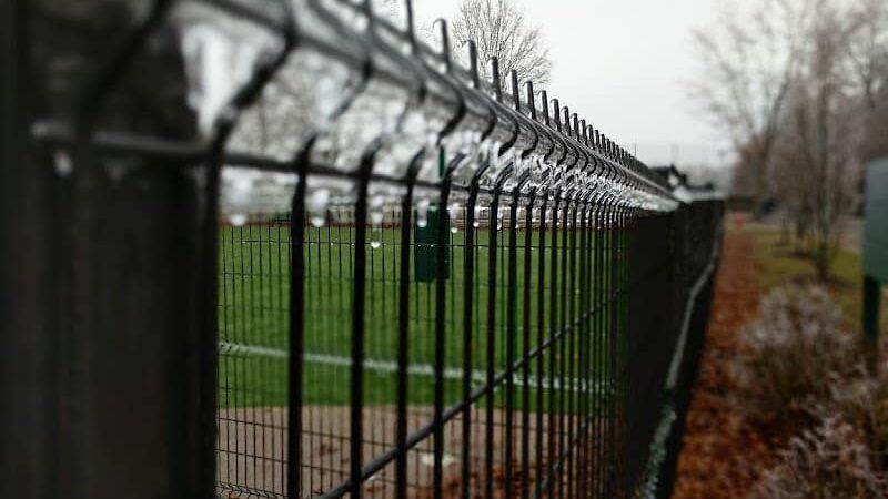 Bluebird Dog Park - Ellisville, MO