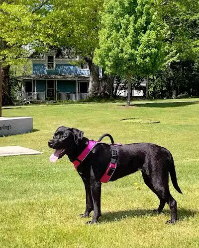 Knowlton Park - Ellsworth, ME