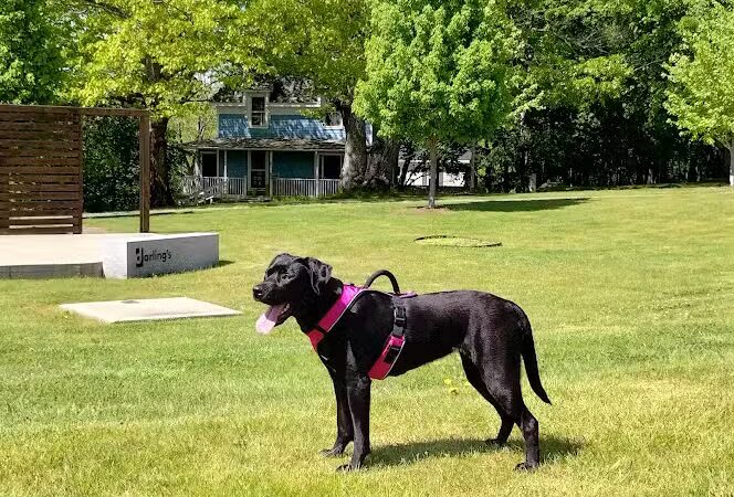 Knowlton Park - Ellsworth, ME