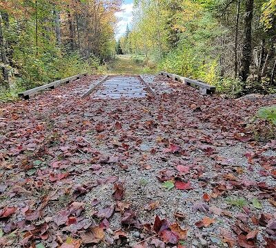 Meadowbrook Forest - Blue Hill Heritage Trust - Ellsworth, ME