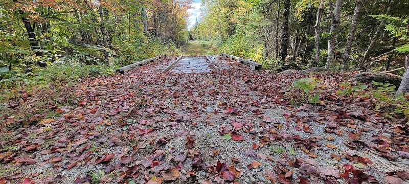 Meadowbrook Forest - Blue Hill Heritage Trust - Ellsworth, ME