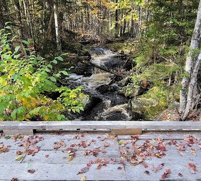 Meadowbrook Forest - Blue Hill Heritage Trust - Ellsworth, ME