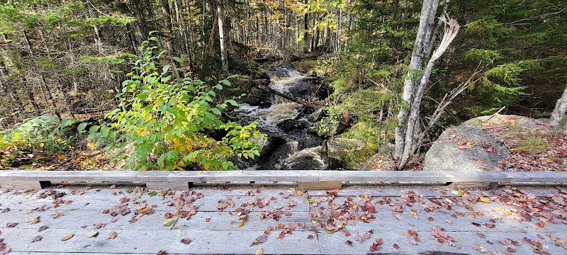 Meadowbrook Forest - Blue Hill Heritage Trust - Ellsworth, ME