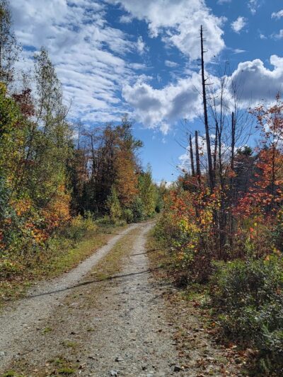 Meadowbrook Forest - Blue Hill Heritage Trust - Ellsworth, ME