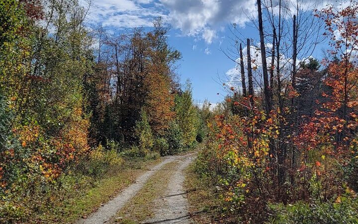 Meadowbrook Forest - Blue Hill Heritage Trust - Ellsworth, ME