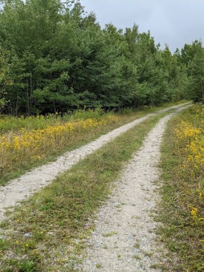 Meadowbrook Forest - Blue Hill Heritage Trust - Ellsworth, ME