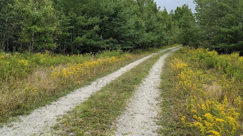 Meadowbrook Forest - Blue Hill Heritage Trust - Ellsworth, ME