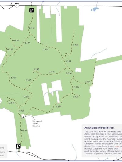 Meadowbrook Forest - Blue Hill Heritage Trust - Ellsworth, ME