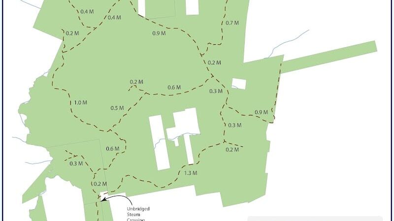 Meadowbrook Forest - Blue Hill Heritage Trust - Ellsworth, ME