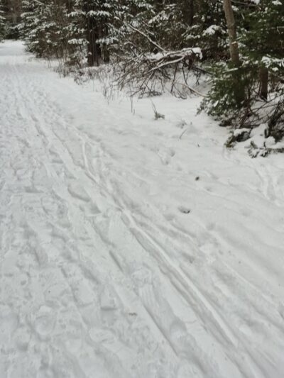 Woodlawn Grounds and Trails - Ellsworth, ME