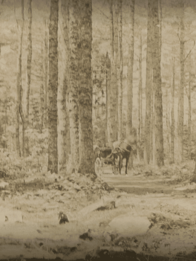 Woodlawn Grounds and Trails - Ellsworth, ME