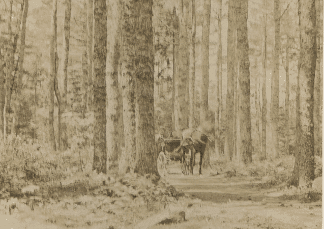 Woodlawn Grounds and Trails - Ellsworth, ME