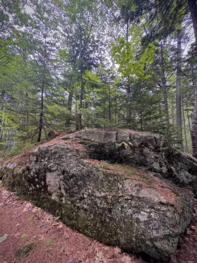 Woodlawn Grounds and Trails - Ellsworth, ME