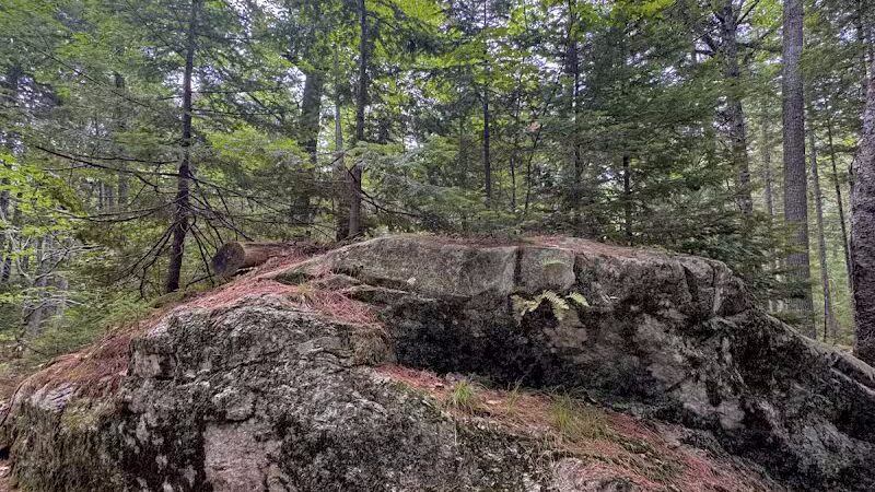 Woodlawn Grounds and Trails - Ellsworth, ME