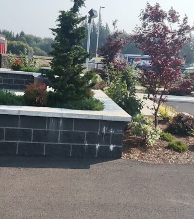 Martin Family Dog Park - Elma, WA