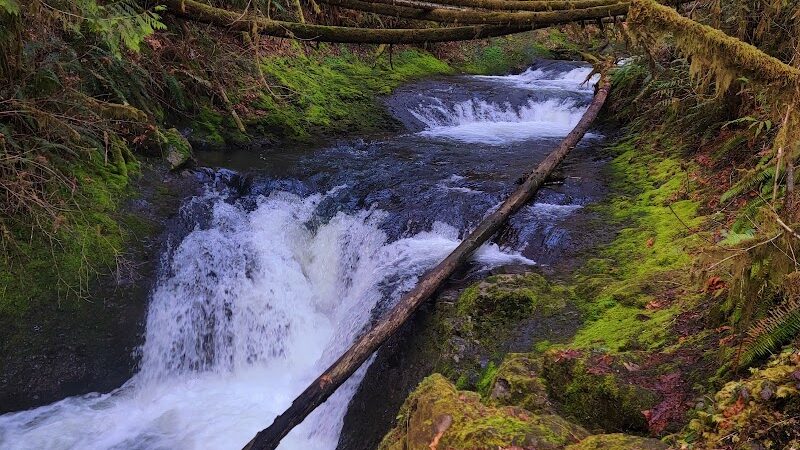 Porter Creek Campground - Elma, WA