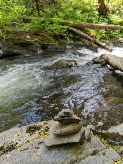 Porter Creek Campground - Elma, WA