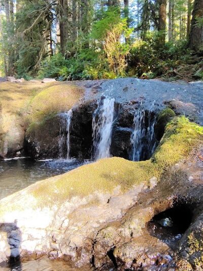 Porter Creek Campground - Elma, WA