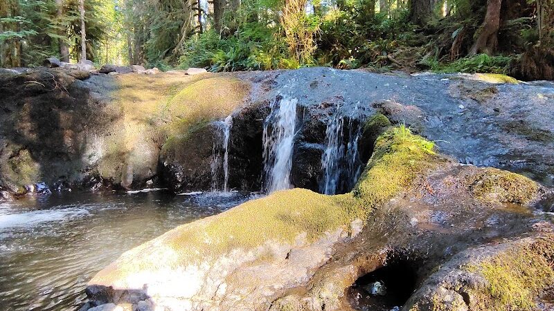 Porter Creek Campground - Elma, WA