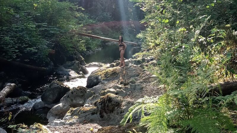 Porter Creek Campground - Elma, WA