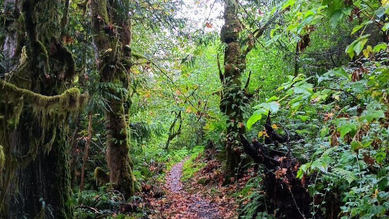 Porter Creek Campground - Elma, WA